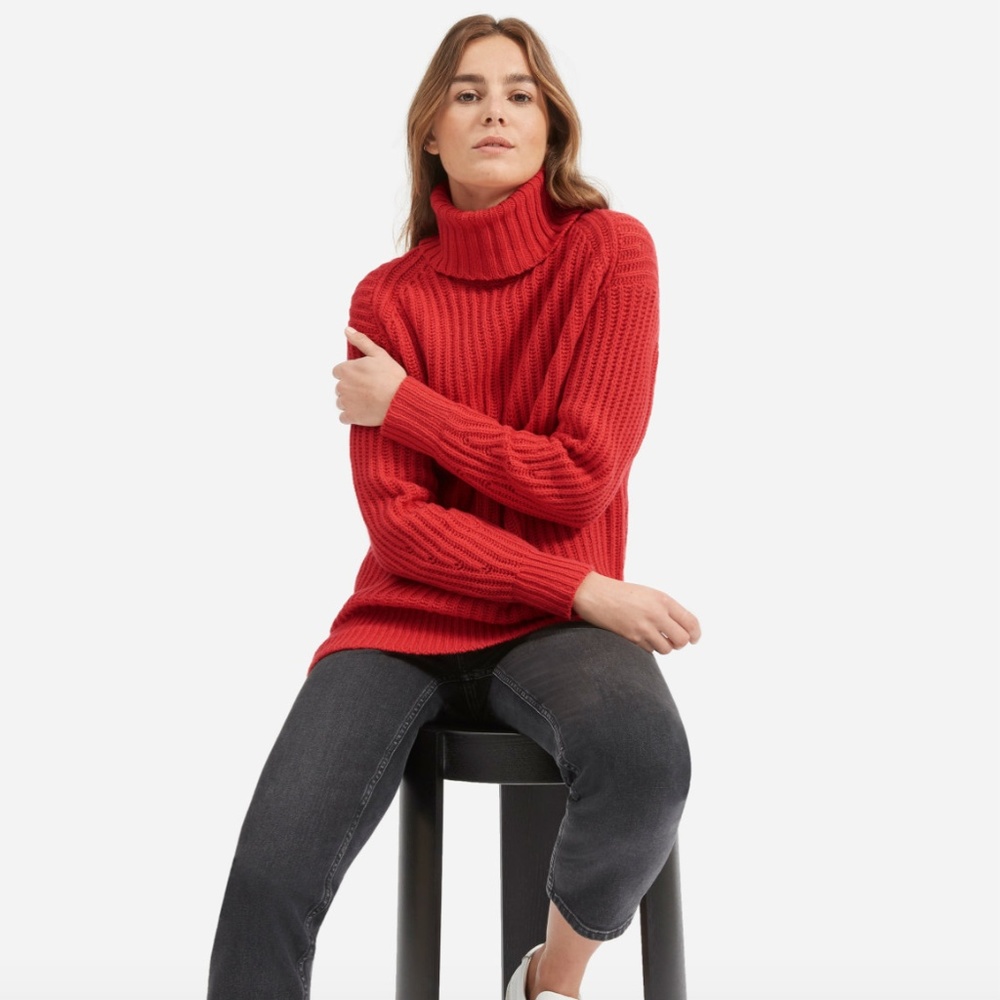 Everlane Italian Soft Wool Rib Turtleneck Sweater